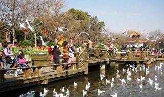 云南昆明旅行社 云南昆明旅行社